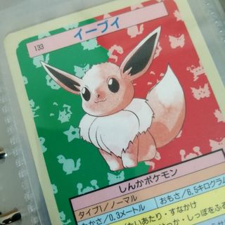トップサン　ポケモン　イーブイ　青