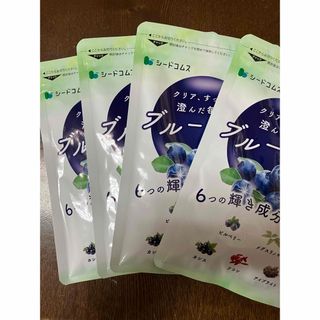 新品☆シードコムス　ブルーベリー　サプリメント　12ヶ月分(その他)
