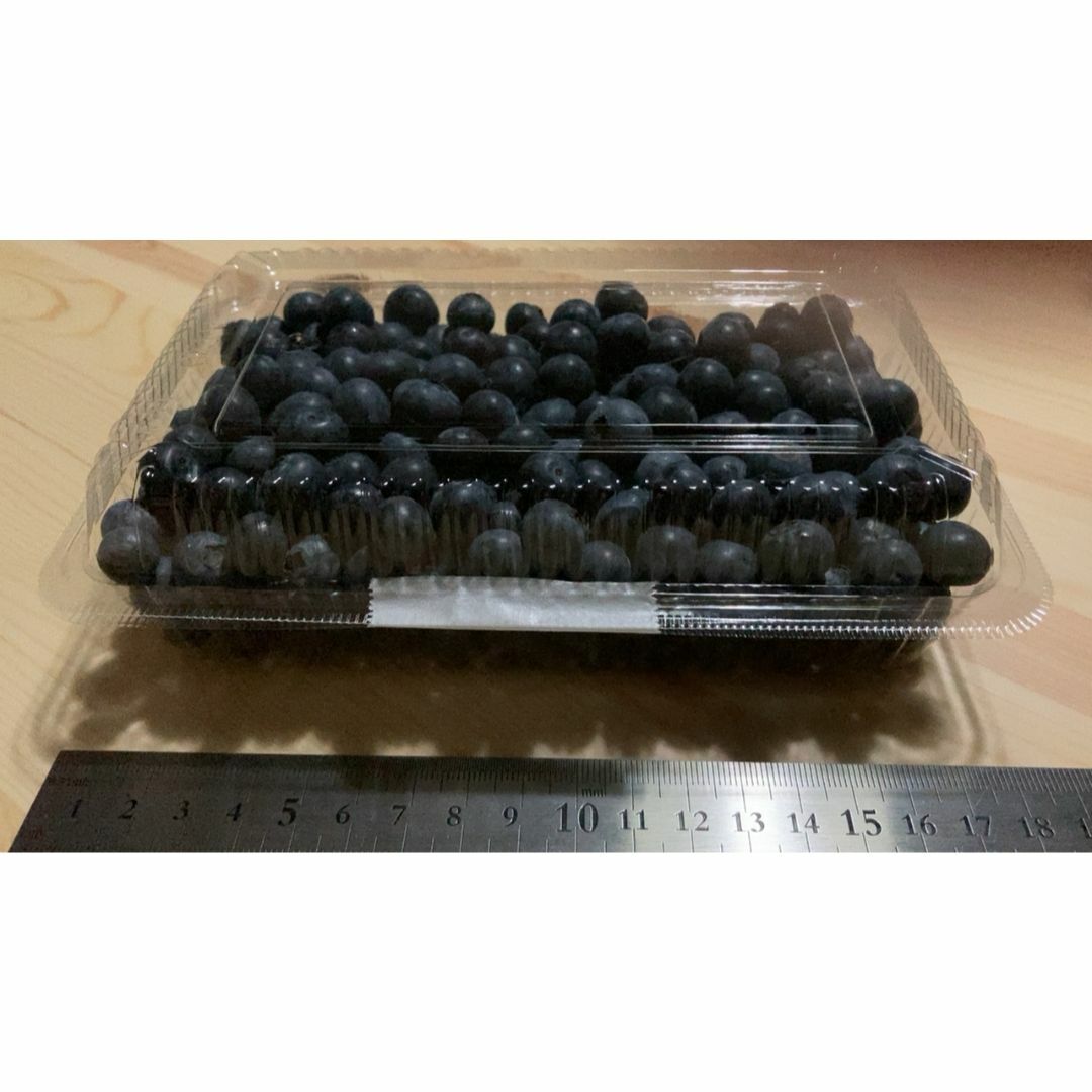 Organic ブルーベリー800g 食品/飲料/酒の食品(フルーツ)の商品写真