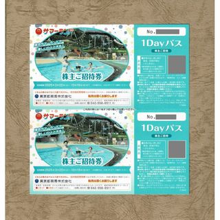 東京サマーランド 株主ご招待券2枚★東京都競馬株主優待券(遊園地/テーマパーク)