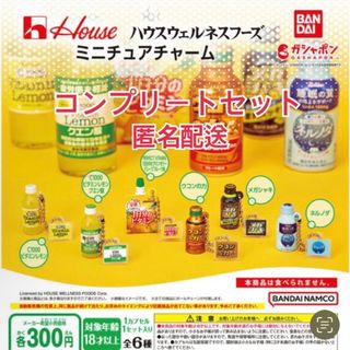 ハウスウェルネスフーズ ミニチュアチャーム ガチャガチャ コンプリートセット(キーホルダー)