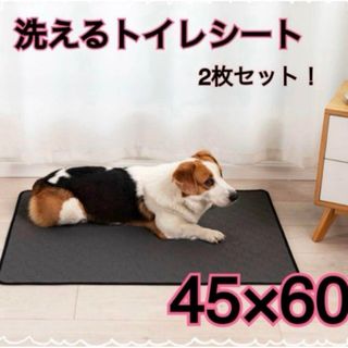 【洗える防水】トイレシート 吸水速乾 犬猫マット　45×60 2枚セット