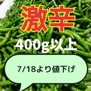 限定販売✨訳あり増量❗青唐辛子 激辛 農薬不使用(野菜)