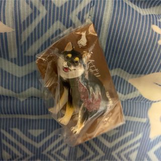 ふんばり〜ぬ　黒柴犬　ふんばりーぬ　ふんばりいぬ