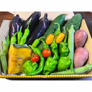 ②野菜セット コンパクトボックス　農薬不使用　(野菜)