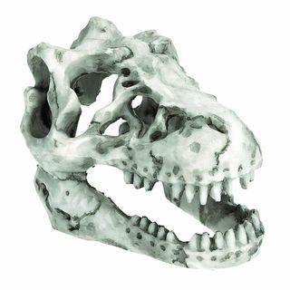 【人気商品】Charmoon 水槽 アクアリウム オブジェ 恐竜 化石 骨 隠れ(その他)