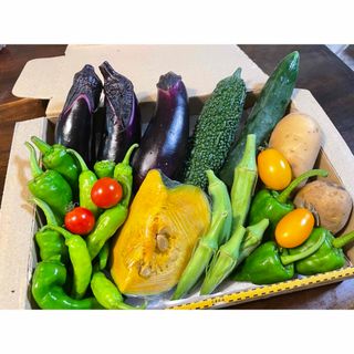 ③野菜セット コンパクトボックス　農薬不使用(野菜)