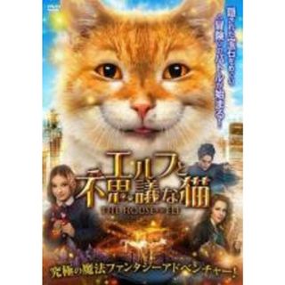 【中古】DVD▼エルフと不思議な猫 レンタル落ち(外国映画)