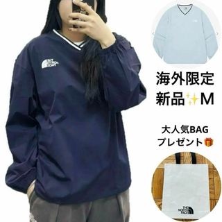 ザノースフェイス(THE NORTH FACE)の海外限定✨新品ノースフェイス アイスランVネック 水色 レディースＬ バッグ付(その他)