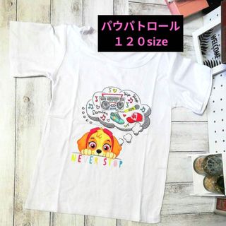 パウパトロール Tシャツ 半袖 120 Sky(Tシャツ/カットソー)