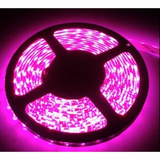 【在庫処分】短色 LEDテープライト● 12Ｖ 高輝度 5M 300連 防水IP