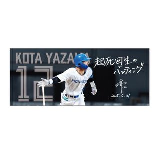ホッカイドウニホンハムファイターズ(北海道日本ハムファイターズ)のファイターズ 矢澤宏太 5月31日 Today's HERO フェイスタオル(応援グッズ)