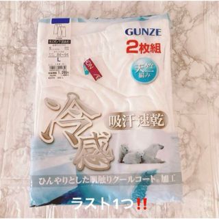 Lサイズ　2枚組　GUNZE グンゼ　冷感　半ズボン下 前あき　股引き　ズボン下(その他)