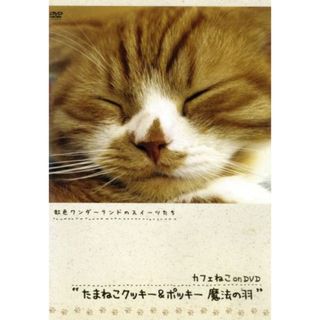 たまねこクッキー＆ポッキー　魔法の羽(趣味/実用)