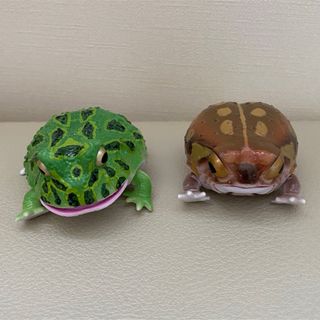 バンダイ(BANDAI)のいきもの大図鑑レプティ ツノガエル（グリーン）　アメフクラガエル（ライト）(フィギュア)