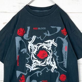 RHCPレッドホットチリペッパーズBLOOD SUGAR SEX MAGIK L(Tシャツ/カットソー(半袖/袖なし))