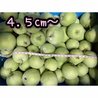 ⑱ 長野県北部 農家直送 摘果リンゴ 箱込み 20kg(フルーツ)