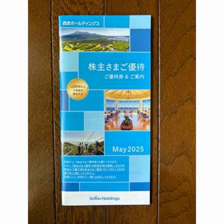 西武ホールディングス　株主優待　1000株以上(その他)