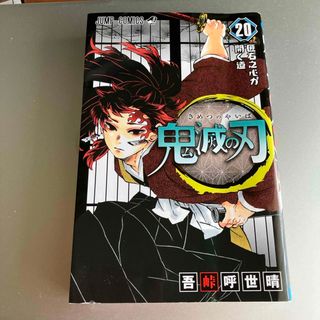 鬼滅の刃　20(少年漫画)