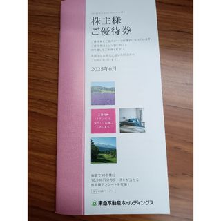 東急不動産ホールディングス株主優待　100株分 1冊(その他)