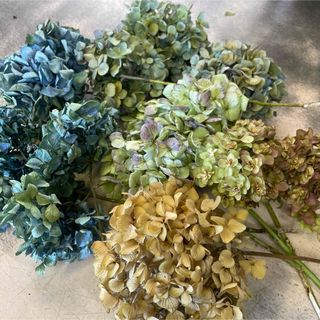 大特価紫陽花ドライフラワーB