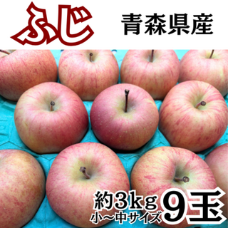 りんご ふじりんご ３㎏９玉 青森県産 リンゴ 小～中サイズ 有袋ふじ(フルーツ)