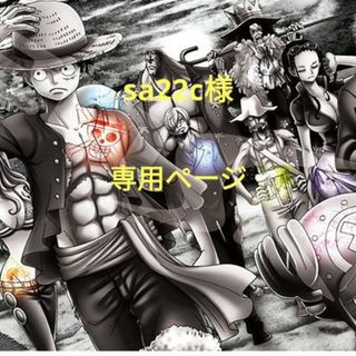 シュウエイシャ(集英社)のsa22c様専用ページ  漫画ONEPIECE(少年漫画)