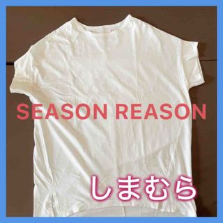 シマムラ(しまむら)のSEASON REASON byLin&Red☆ビッグシルエットカットソー(カットソー(半袖/袖なし))
