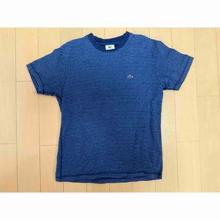 LACOSTE ネイビー ストライプ Tシャツ サイズ3