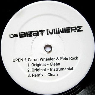 米12” Da Beatminerz Open RWK352 Rawkus /00250(その他)