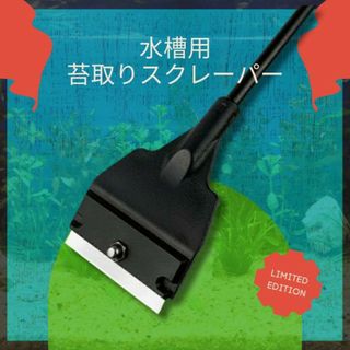 熱帯魚 水槽 藻取り 掃除 黒 コケ取り 刃5枚 スクレーパー アクアリウム(アクアリウム)