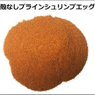 殻なしブラインシュリンプ100g　粉末　アルテミア　メダカ　金魚 熱帯魚  (アクアリウム)