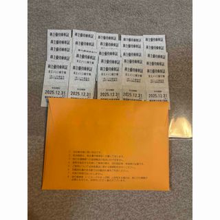 東京メトロ線全線　株主優待乗車証25枚(鉄道乗車券)