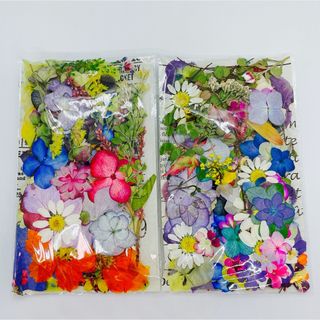 押し花＆ドライフラワー花びら♡フラワーパーツ　11