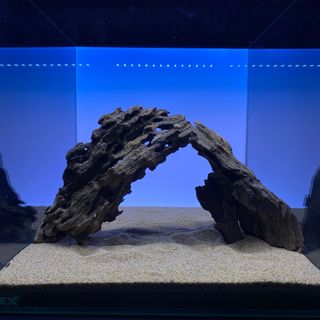 MMW-6553 マシンガンウッド2本セット　30cm水槽用　流木　アクアリウム(アクアリウム)