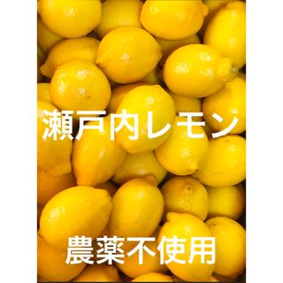 国産瀬戸内レモン1.2〜1.5Kg(フルーツ)