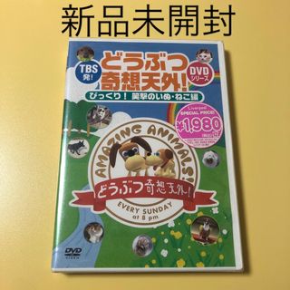 新品未開封DVD★TBS発！どうぶつ奇想天外！DVDシリーズ(その他)
