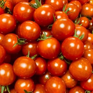 ミニトマト1kg  岐阜県中津川産(野菜)