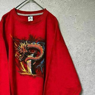 PHYS.SCi フィジカルサイエンス ロンＴ 長袖 立体 発泡プリント XL