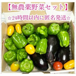 【安心の無農薬野菜】匿名配送　自家菜園　ピーマンの夏野菜セット(野菜)