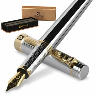 【人気商品】Keyzor 高級万年筆 - ファンシーなシ(シルバー)ペン 24K(その他)