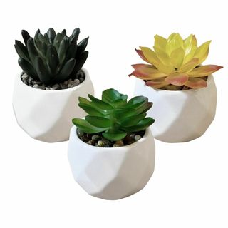 【在庫処分】[RUNO] フェイクグリーン 卓上 ミニ 人工観葉植物 多肉 造花(その他)