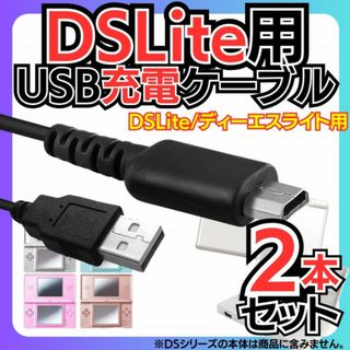 2本セット DSLite ライト USBコード 充電 コード 充電器 ケーブル