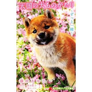 天国の犬ものがたり　ずっと一緒 小学館ジュニア文庫／藤咲あゆな【著】，堀田敦子【原作】(絵本/児童書)