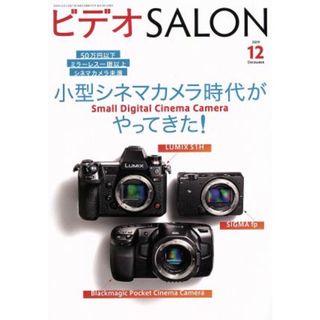 ビデオ　ＳＡＬＯＮ(１２　２０１９　ＤＥＣＥＭＢＥＲ) 月刊誌／玄光社(趣味/スポーツ)