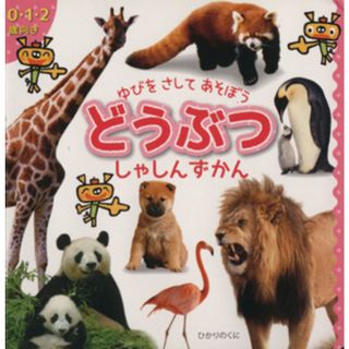 ゆびをさしてあそぼう　どうぶつしゃしんずかん ０・１・２歳向き／かいちとおる(著者),内山晟(絵本/児童書)