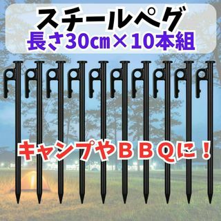 294 【高耐久】スチールペグ 30cm 10本組 キャンプ タープ テント
