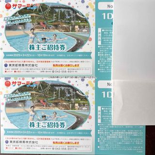 【匿名発送】東京サマーランド 株主ご招待券 2枚(遊園地/テーマパーク)