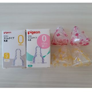 Pigeon