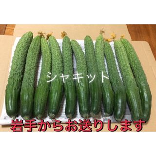 ラクマ価格！シャキット　ネコポス(野菜)